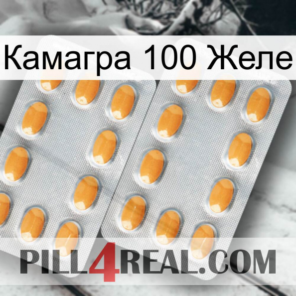 Камагра 100 Желе cialis4.jpg